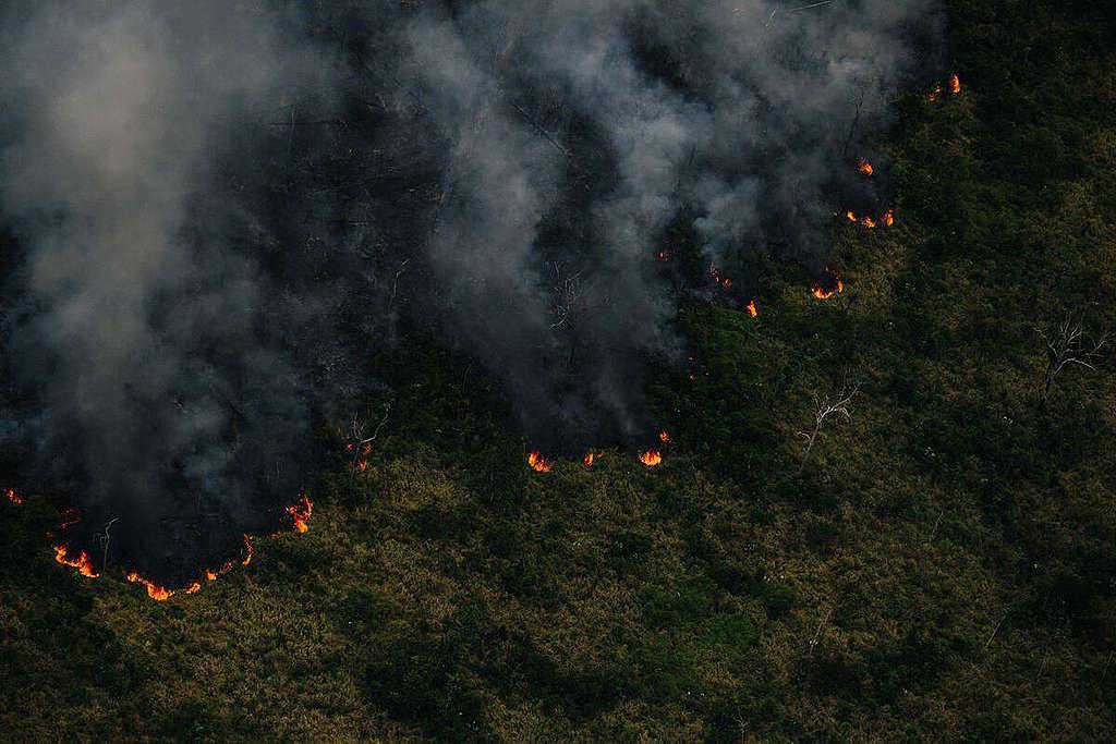 A crise das queimadas no Amazonas e a urgência de respostas estruturais para a preservação ambiental.